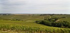Chablis vineyards