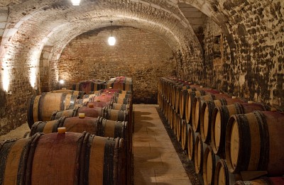 Aging cellar